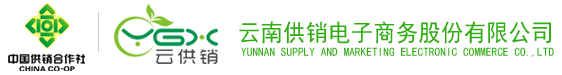 2121非凡·(中国集团)电子商务股份有限公司